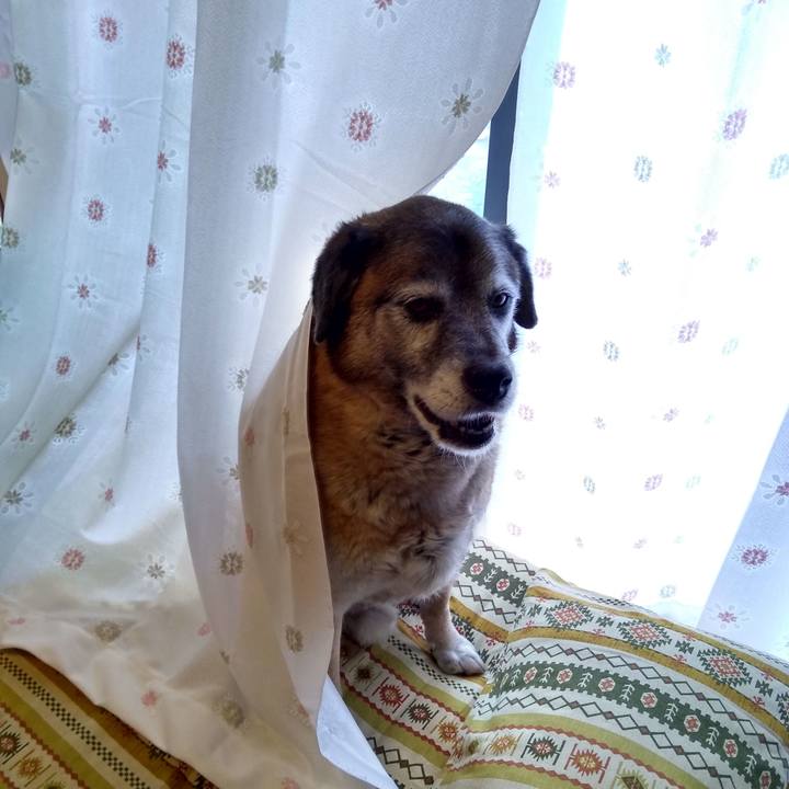 F7c6e6f6 34a3 4d77 9d9f 964811f56808 1562986389241