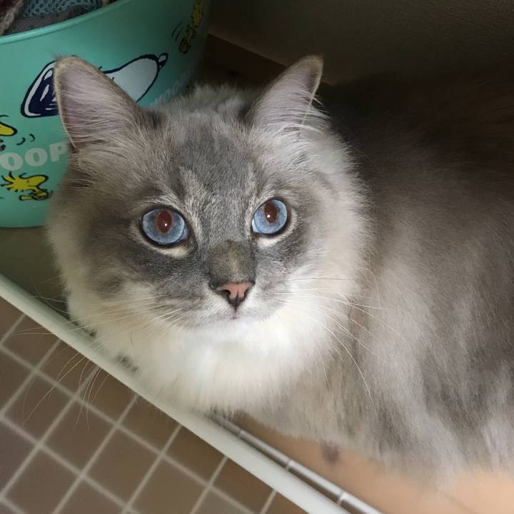 F7c6f3ad 7607 487b 9b48 b9297db684e8 1509709530352