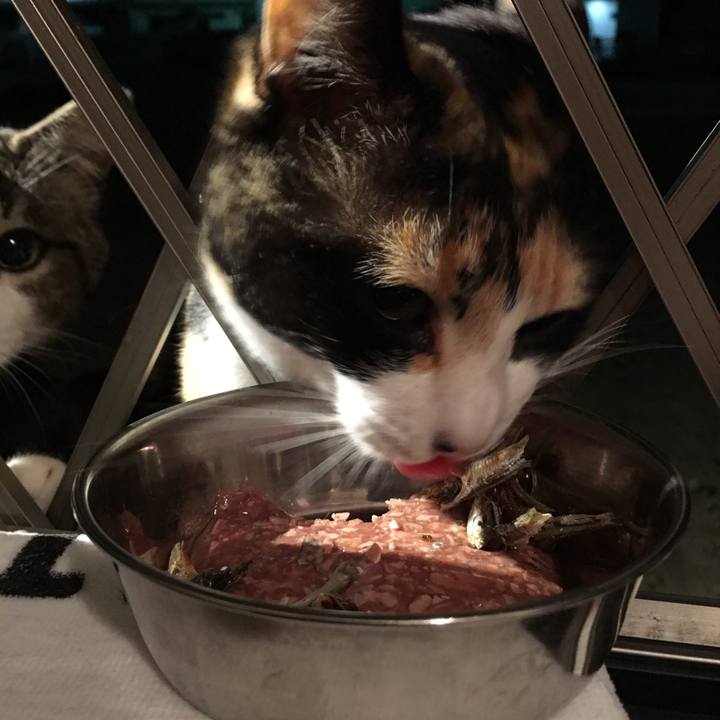 F7c6fa0e bae1 49a3 a257 171d3b4da50f 1525309156142