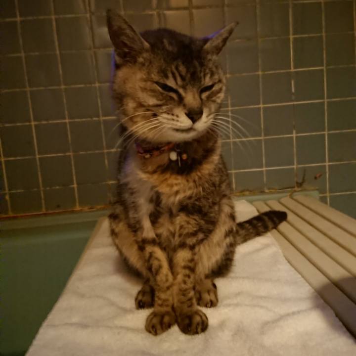 F7c71a3b 5b7b 43e5 a55f 5c496e3fc615 1594895077594