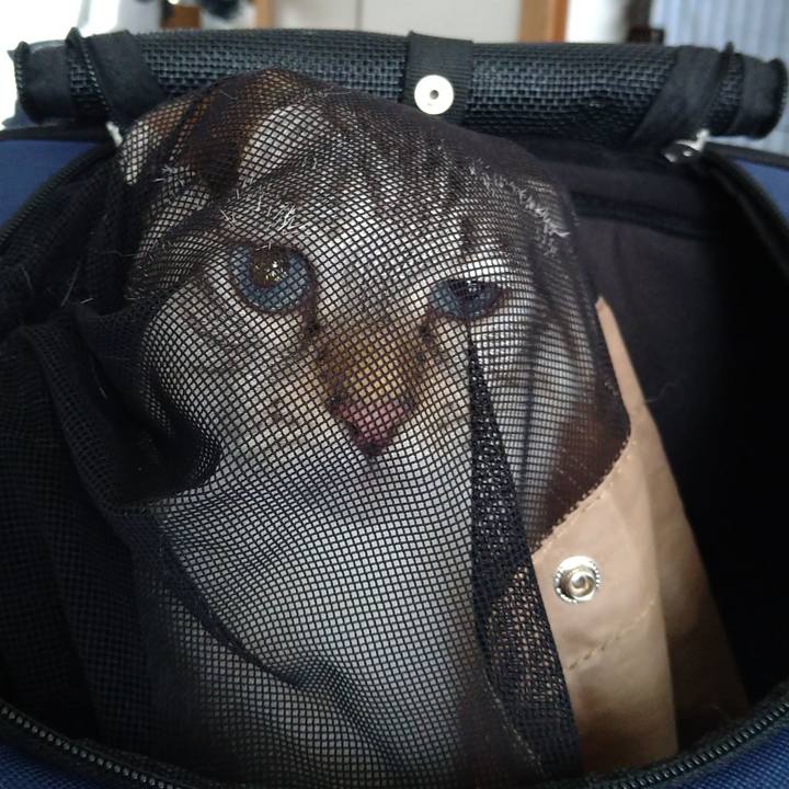 F7c74042 2706 4f78 b7c7 842b800e2bd4 1628649948594