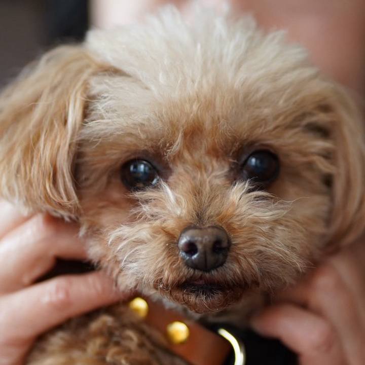 F7c75c5a 7d18 46a6 9bfa 02a0713cad3c 1774435239757