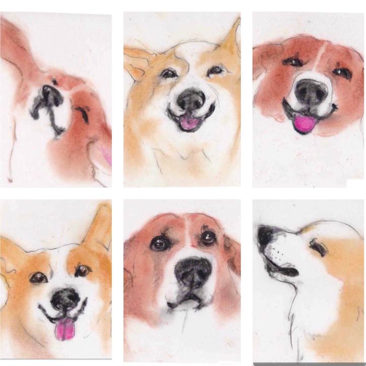 F7c7a087 647e 4e37 b7d2 f73bc8cfb12a 1629302903681