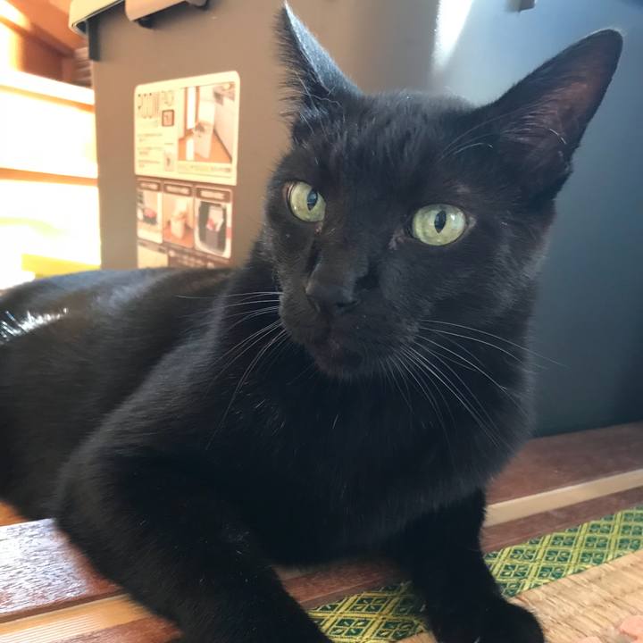 F7c7b582 e3a0 453c 932d 9519623c2764 1536192070711