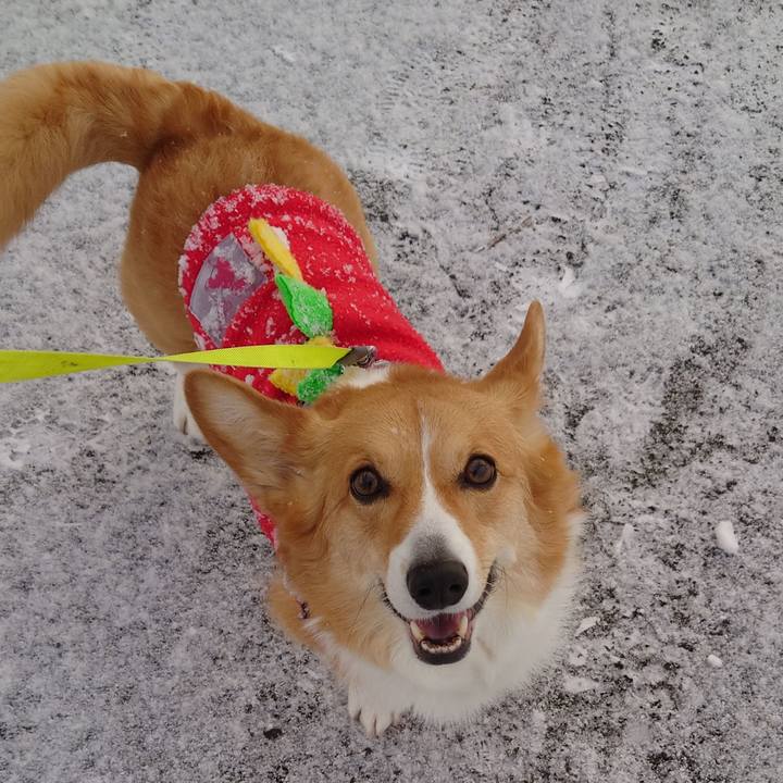 F7c7b800 5a85 46e8 88d5 cc1328f0910a 1773186641723