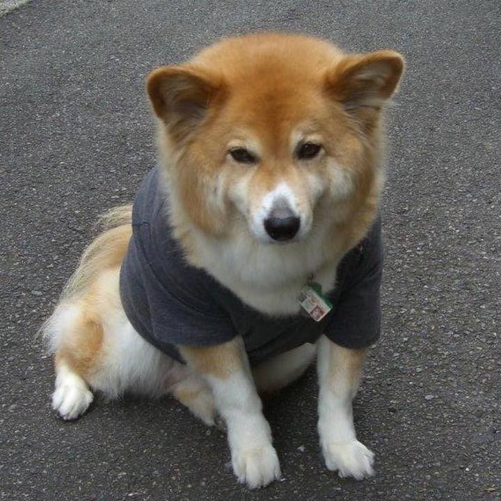 F7c7bf5a 832e 4052 9cc0 fcc0c947d2b7 1619516623822