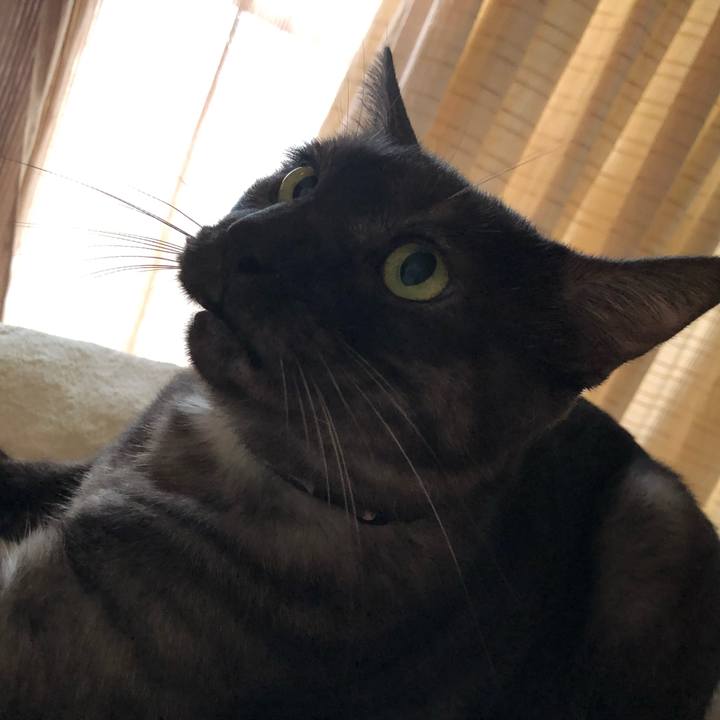 F7c7c577 35c7 47d5 a4d3 4de305ad80d0 1599724779571