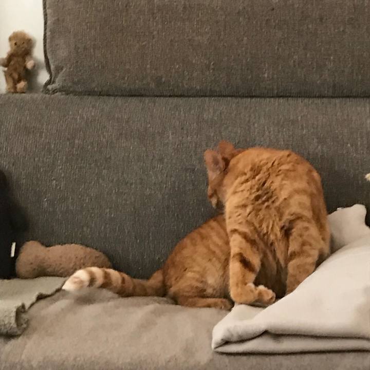 F7c7eb4e d1b0 44fb b1b9 f2938ea96bb0 1517122061981