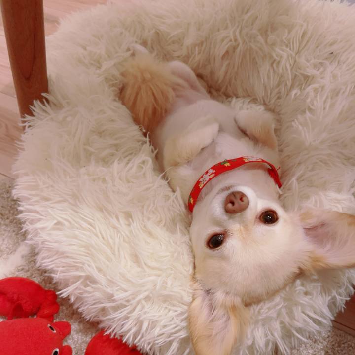 F7c7ecaf 293e 4ab4 9af4 874dda1e3bc7 1757079623146