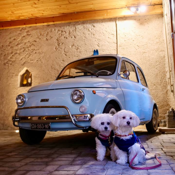 F7c8b5fb 60ad 483d 9cda fdf547e3f372 1767389055705