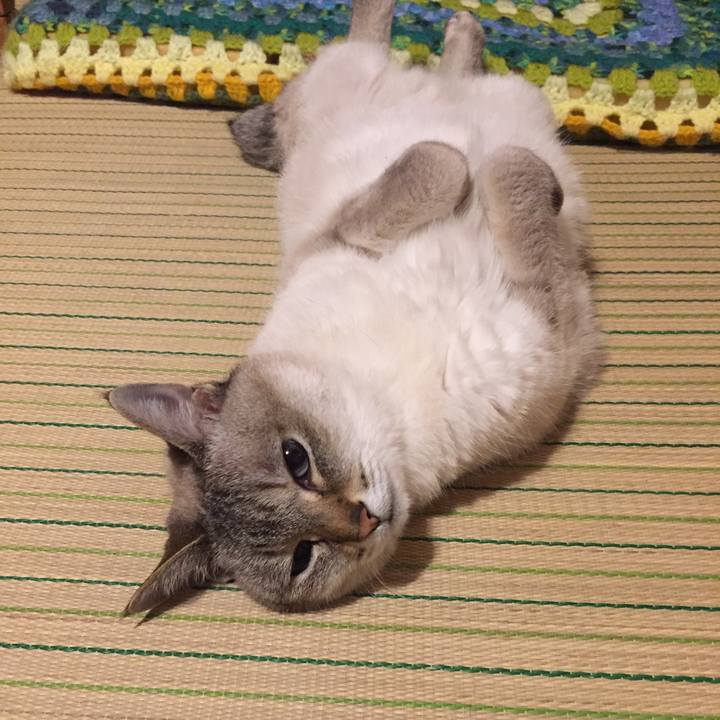 F7c8bce9 b6f6 4cd7 9bed d6afff8892ca 1559215423938