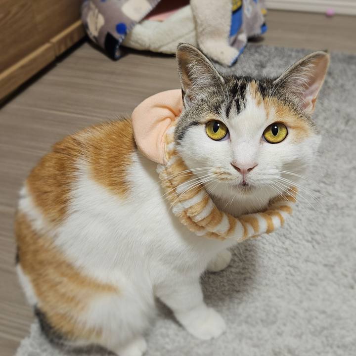 F7c8c3bc b1ac 45b1 a066 4c22bd753e26 1774496447415