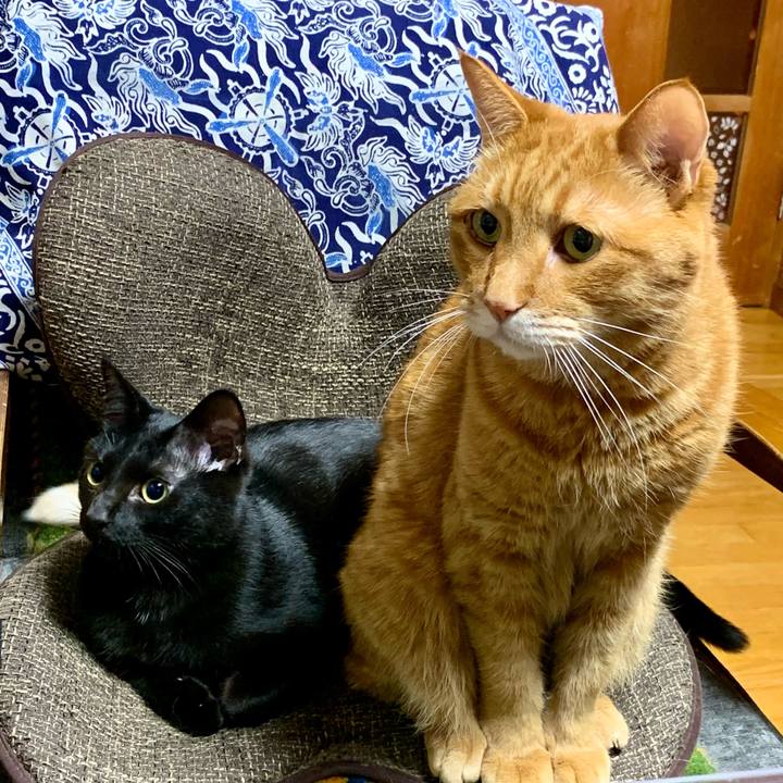 F7c8e3c6 321a 402b 860d b59070df78b4 1653998959238