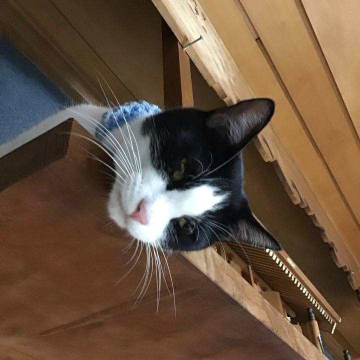 F7c8e799 f2b0 44f3 b7df 64b1f50ece67 1662727097450