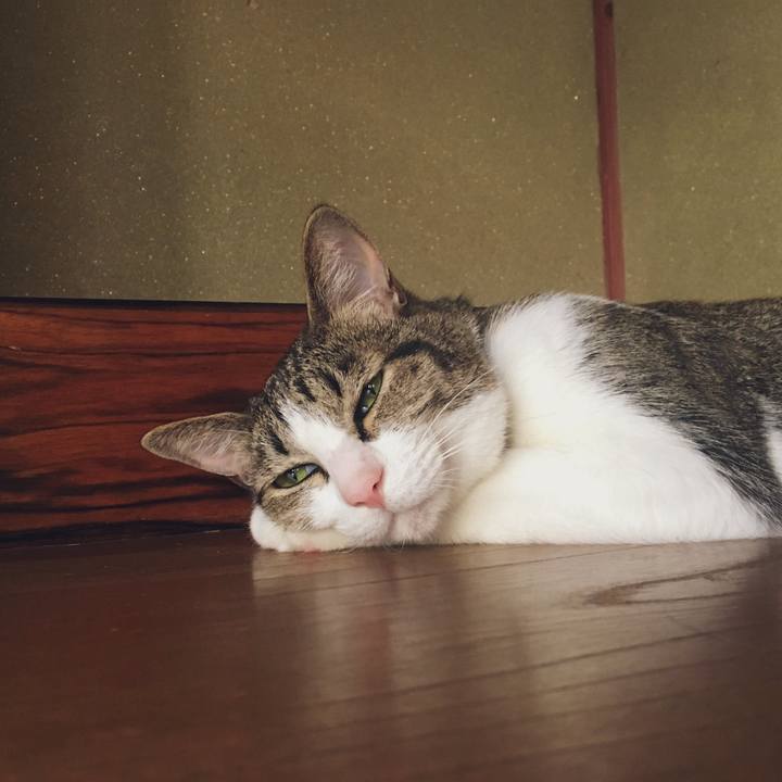 F7c92a1f b950 45b9 8f14 5cecc1ff7d8e 1546262696624