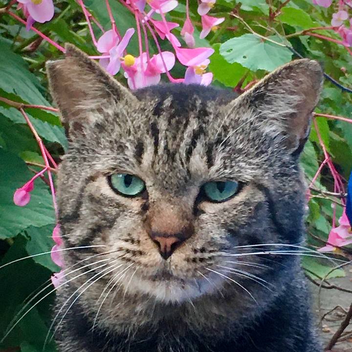 F7c956c6 2d79 4ab8 aed6 132ed8a00a4e 1630446821395