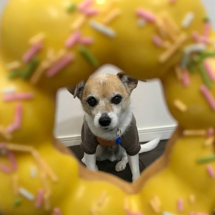 F7c99a01 190a 4d73 82ad b34f5bda558f 1639475436068