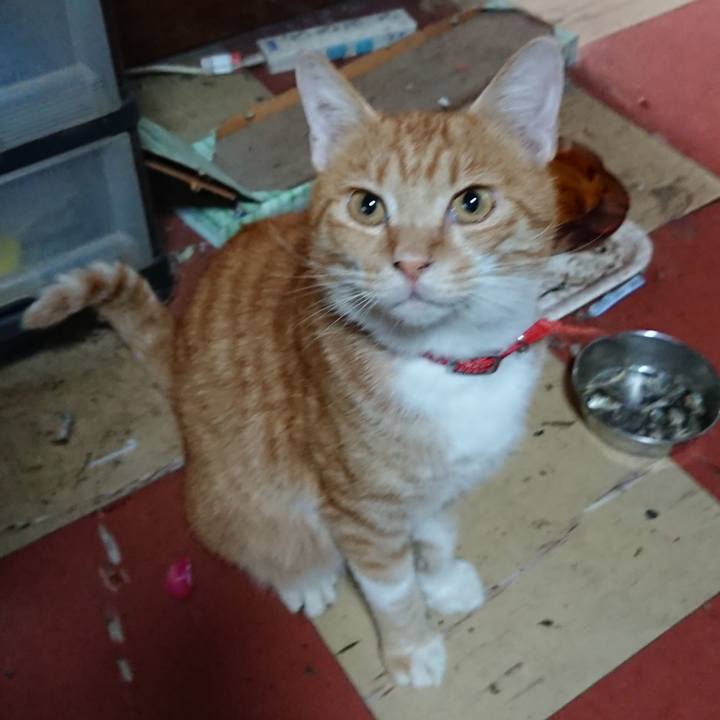 F7c9ab91 2a1b 4a3a a455 d79a5d5c1624 1568941672768