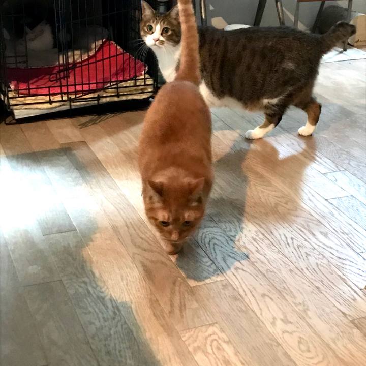 F7c9bb73 1983 4e93 98e8 8dc3695247ff 1579072127772