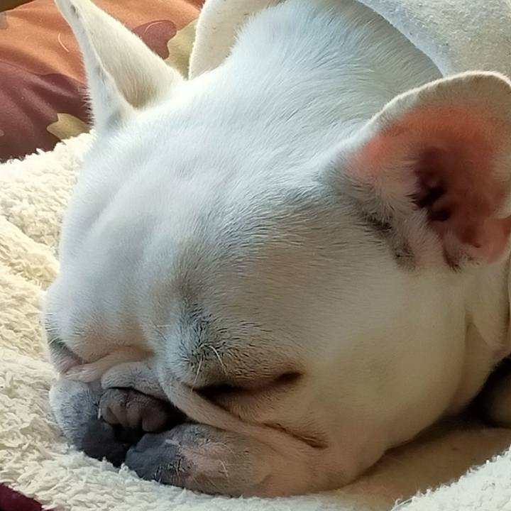 F7c9d482 f91e 40cd bdda cf8d8df719f9 1640835240497