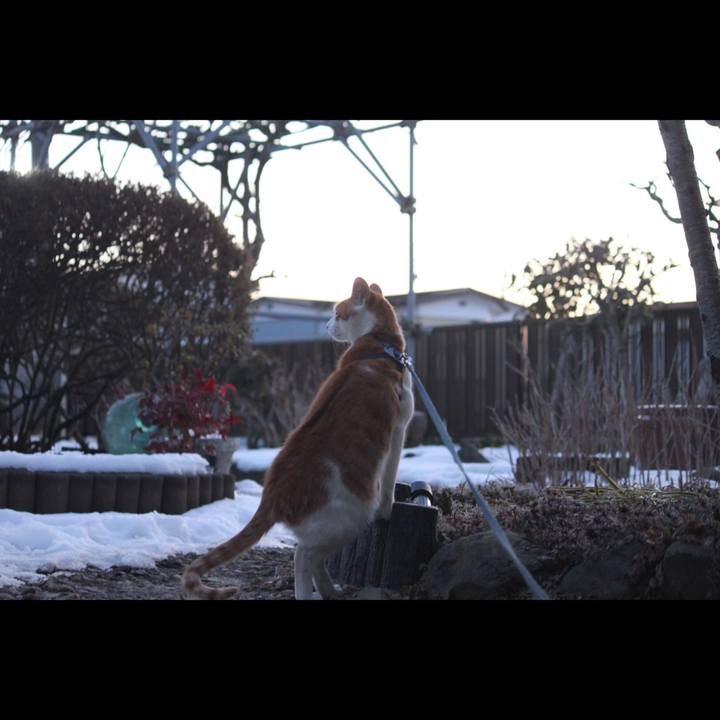 F7c9eeb0 9077 4e23 a10e 67e9a7326d1e 1517482834922