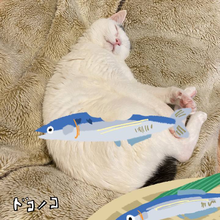 F7c9f7b2 2c88 4c8d 81ae 64bf707a5a88 1790073924328