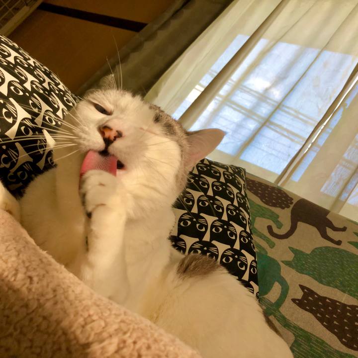 F7ca02bb 0c3f 4448 aab8 73fbc41b25eb 1607144703495