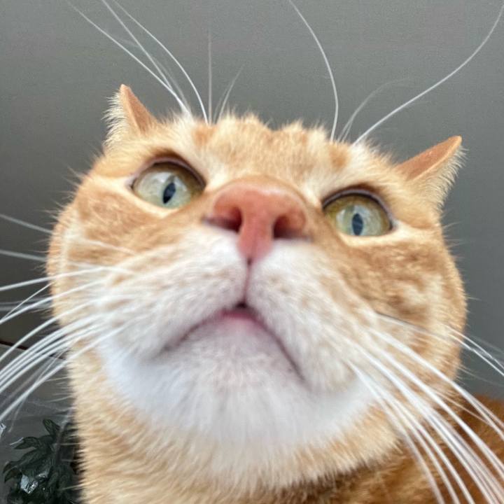 F7ca3fba 454a 491c 8f4b 206e05e44876 1769413130999