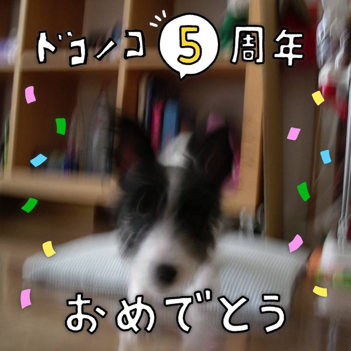 F7ca4ff8 f459 4edd b1ee 25c789789266 1622891862108