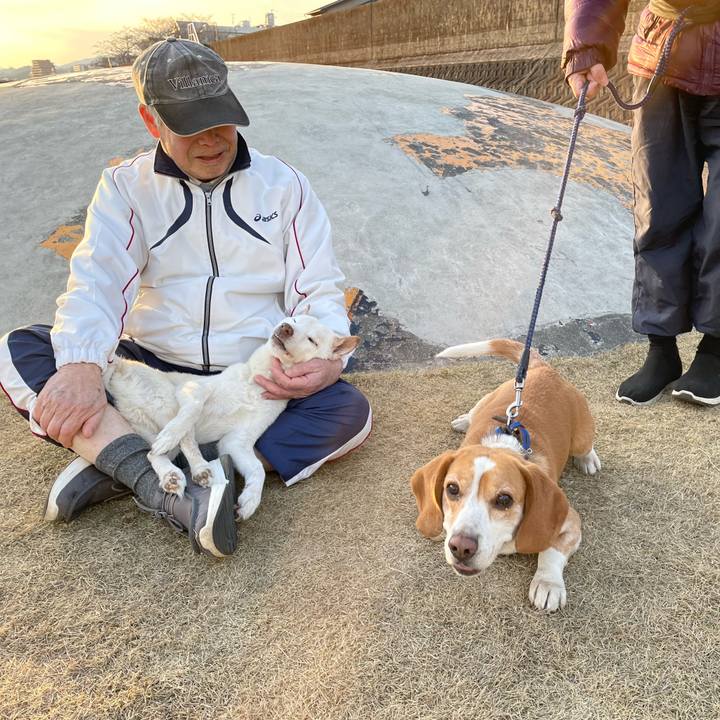 F7ca53c7 d03d 45a3 a8b2 77d04849e626 1677062736180