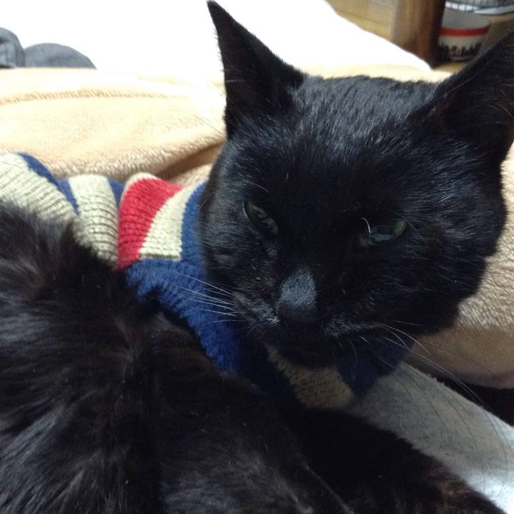 F7ca6482 3d34 41b2 bf45 371910acd9c7 1571051752737