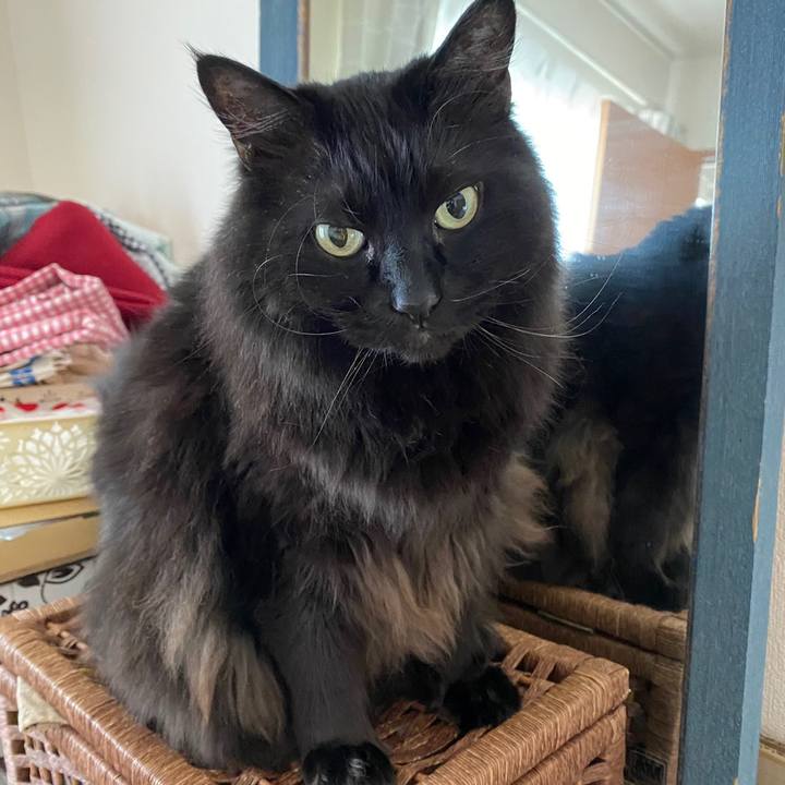 F7ca6dce d499 453a 8fc5 15322b8bcb81 1616132658632