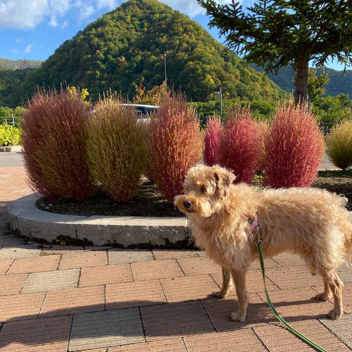 F7ca821f a5e5 4e95 a0f4 f166d5996982 1633218185042