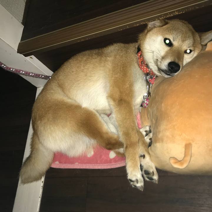 F7caa75f 6c37 4ab9 908b e34481289654 1526292570844