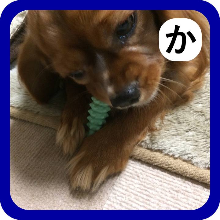 F7cacd81 f97e 4976 9473 4431f7d021a8 1514787922160