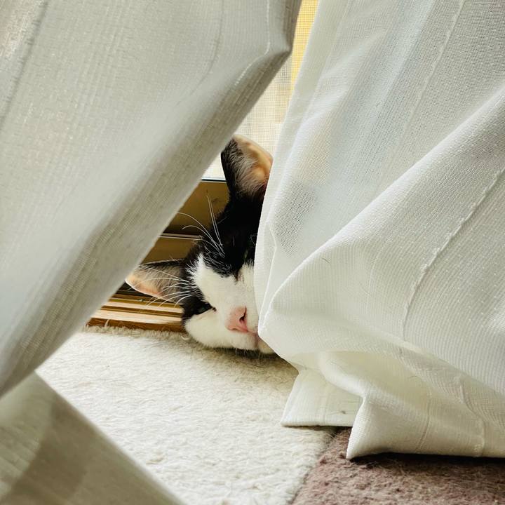 F7cae386 d328 49d7 8ea3 f7eec6f62465 1656818028809