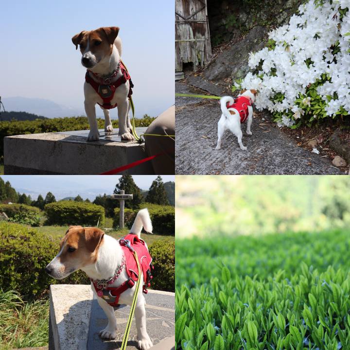 F7cae759 9854 4f9f b02d 3ee59a9c3d7d 1524296325823