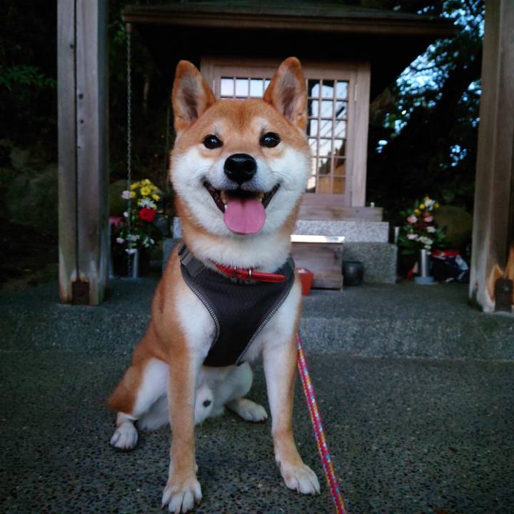 F7caf9ca 7227 493a b57a c577240a39c7 1761686796401