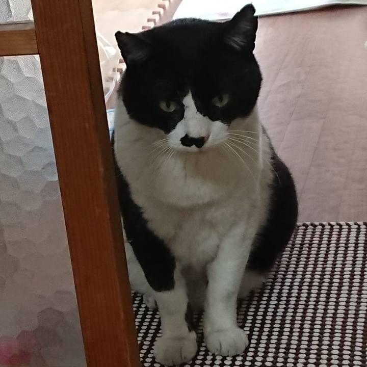 F7cafb74 c4aa 4f08 be59 42649576545a 1526600134269