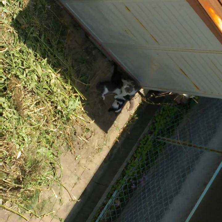 F7cb01d1 be18 468e a6bb d5716781914d 1527990997950