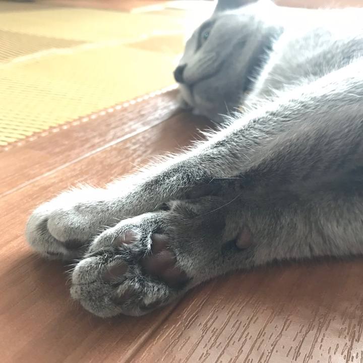 F7cb265c a7ca 4fc9 812f aeedf66fa4ac 1524491511773