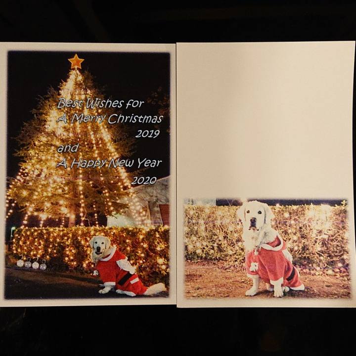 F7cb284a 3e71 418f b510 cc4976c69cb2 1576853684543