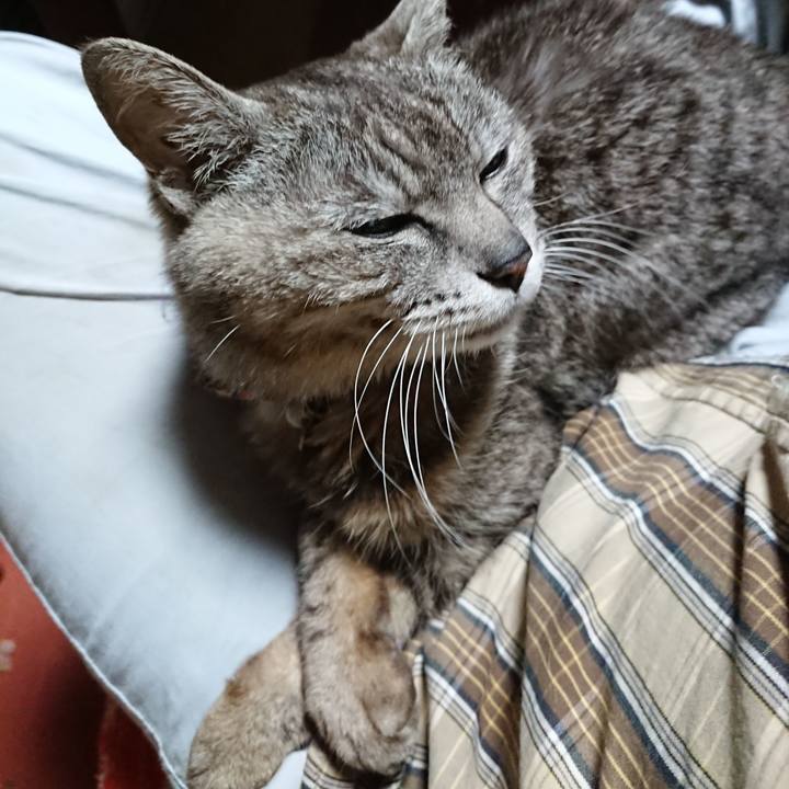 F7cb2caf 178d 473e b25a 30fdc0c0c802 1592078607626