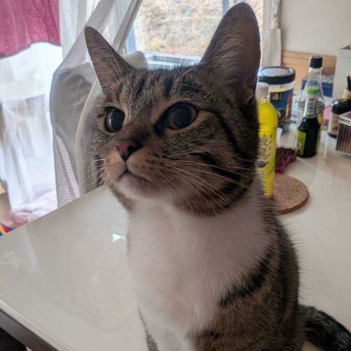 F7cb4fdc 87ed 4c80 b0d2 780f5ff0ae3f 1766531926429