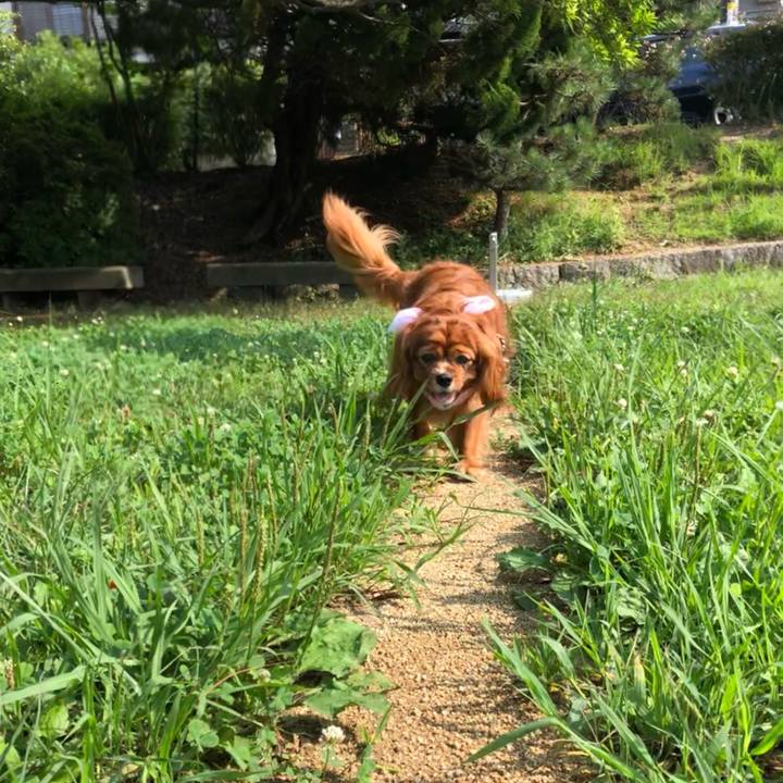 F7cb69b5 51ac 4647 8446 38cae6aa49f2 1625963173632