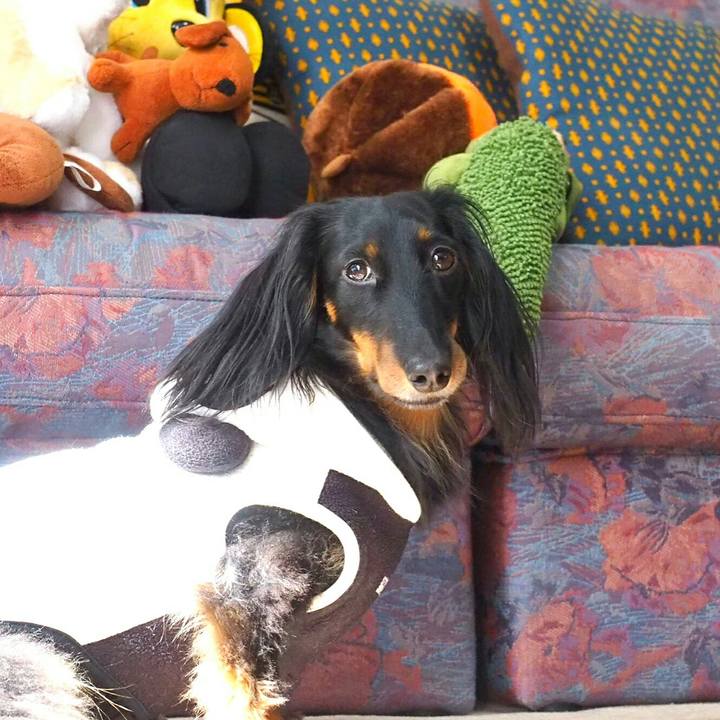 F7cb7e94 3db2 420f ae58 a8398902648c 1520646112922