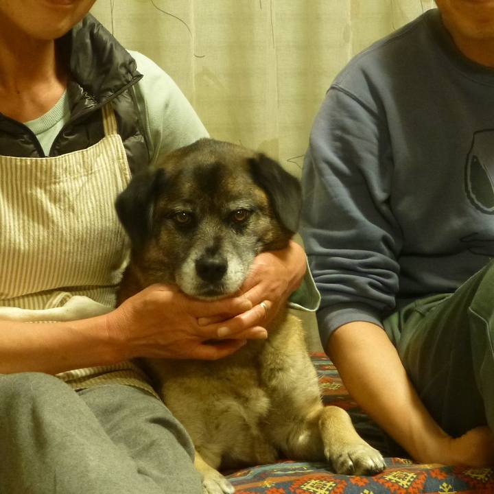 F7cc181f 6f3b 46ce 8477 750dfd911ff1 1681434059282