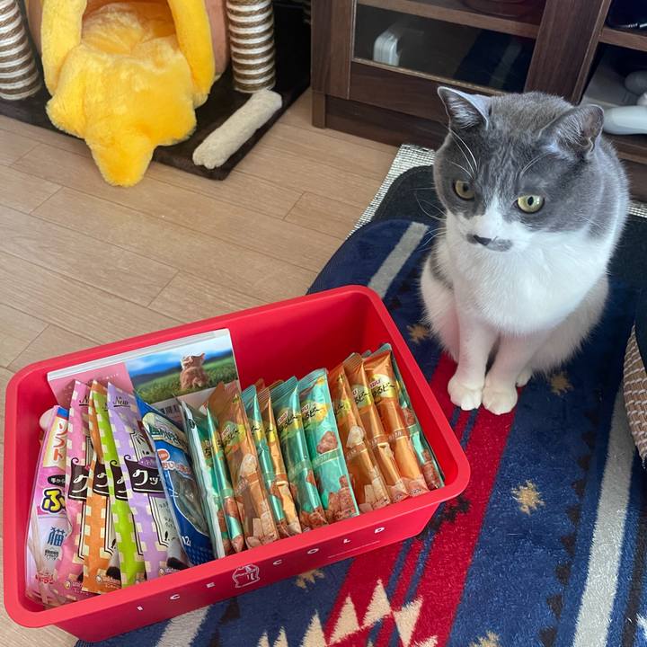 F7cc1877 83e0 4c97 8805 df1070d953ab 1679197883988