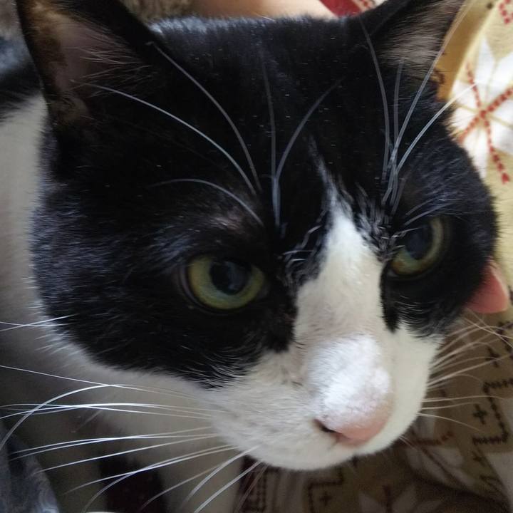 F7cc9998 7cdd 47e4 a4e9 e8159eb2f7a9 1548102995320