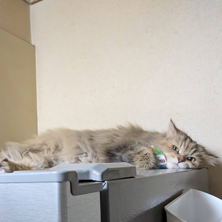 F7cc9eea 8af8 42da 9eb8 f6a4fd9ce92c 1742392878503